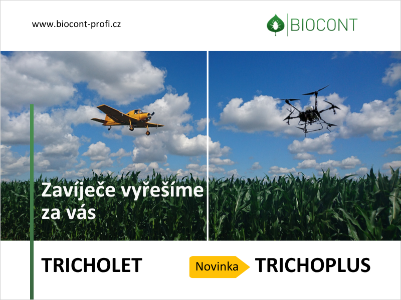 Efektivní ochrana kukuřice před zavíječem