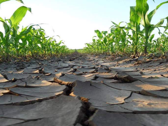 NUTRIGEO L pomocná půdní látka k revitalizaci půd