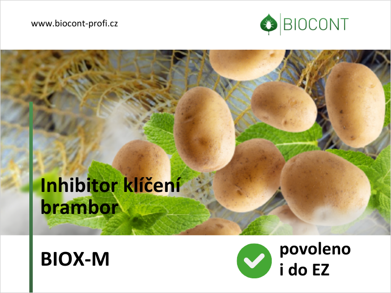 BIOX-M inhibitor klíčení uskladněných brambor