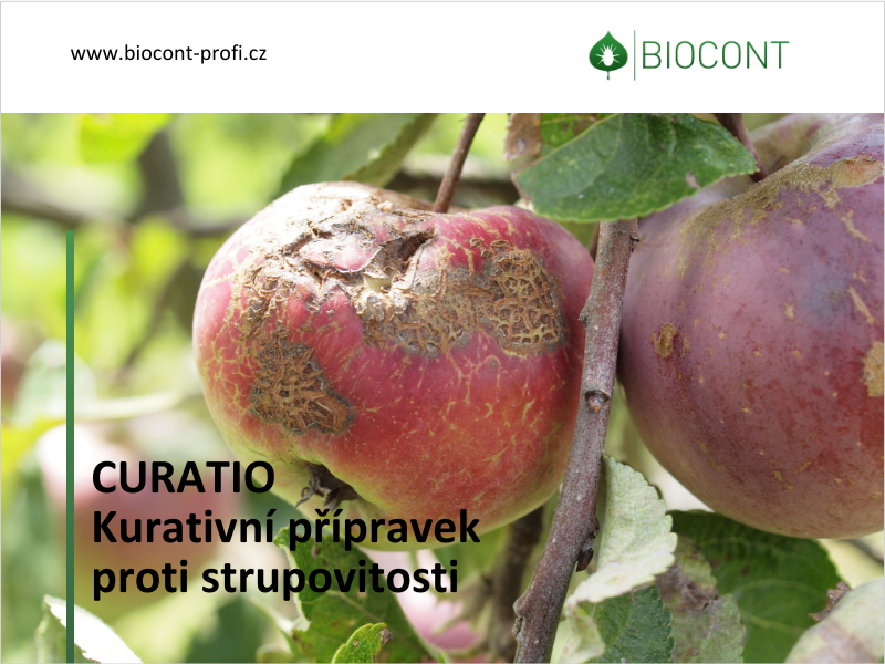 Kurativní přípravek proti strupovitosti CURATIO