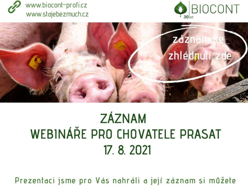 Záznam webináře pro chovatele prasat ze 17. 8. 2021