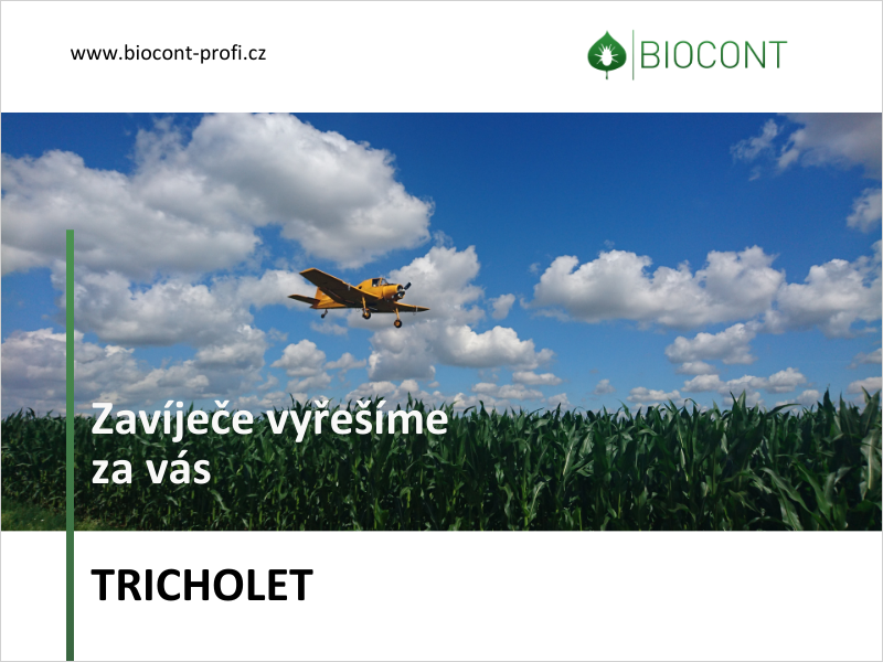 Efektivní ochrana kukuřice před zavíječem