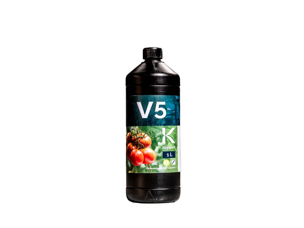 V5 produkt foto