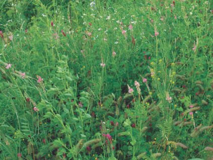 GreenMix Multi foto Unifer