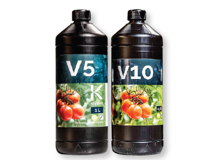 V5, V10 obr