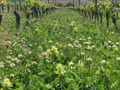 GreenMix Economy web