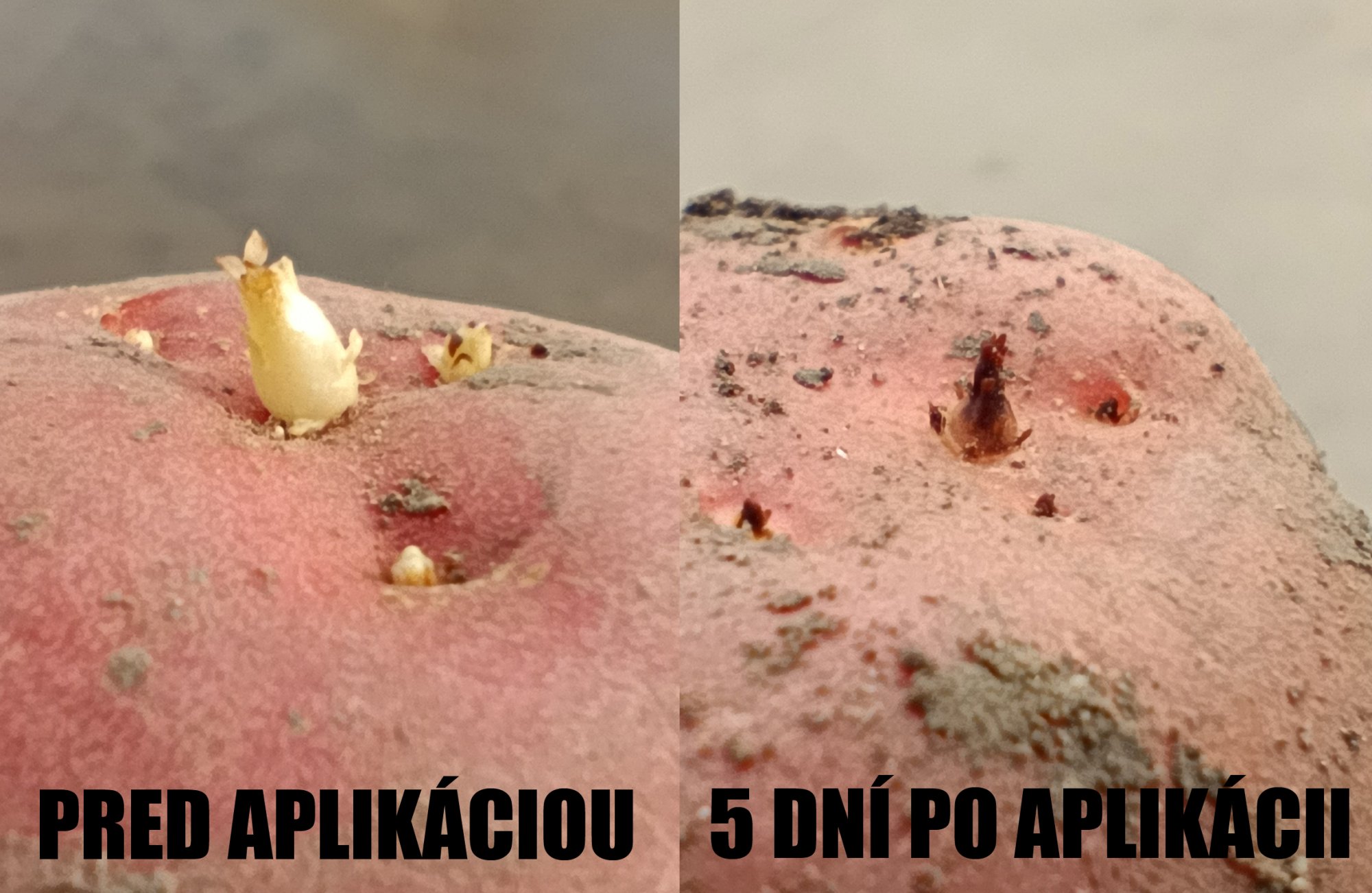 ÚSPEŠNÉ ROZBEHNUTIE APLIKÁCIE BIOX - M