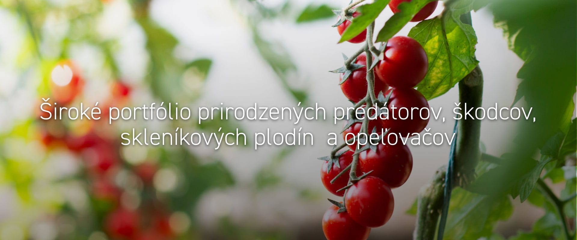 Široké portfólio prirodzených predátorov, škodcov, skleníkových plodín  a opeľovačov
