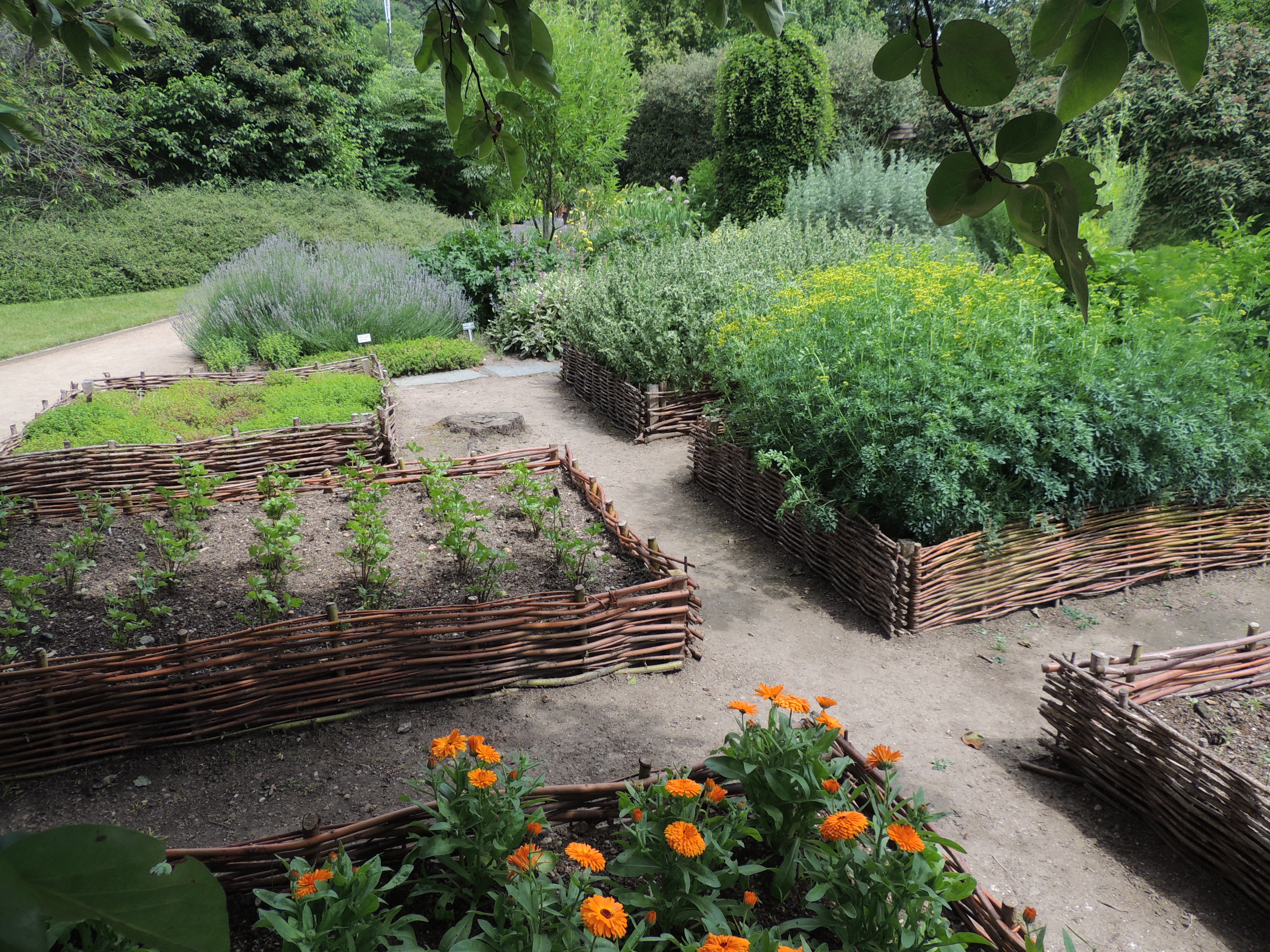 Tipy pro bio zahrádku