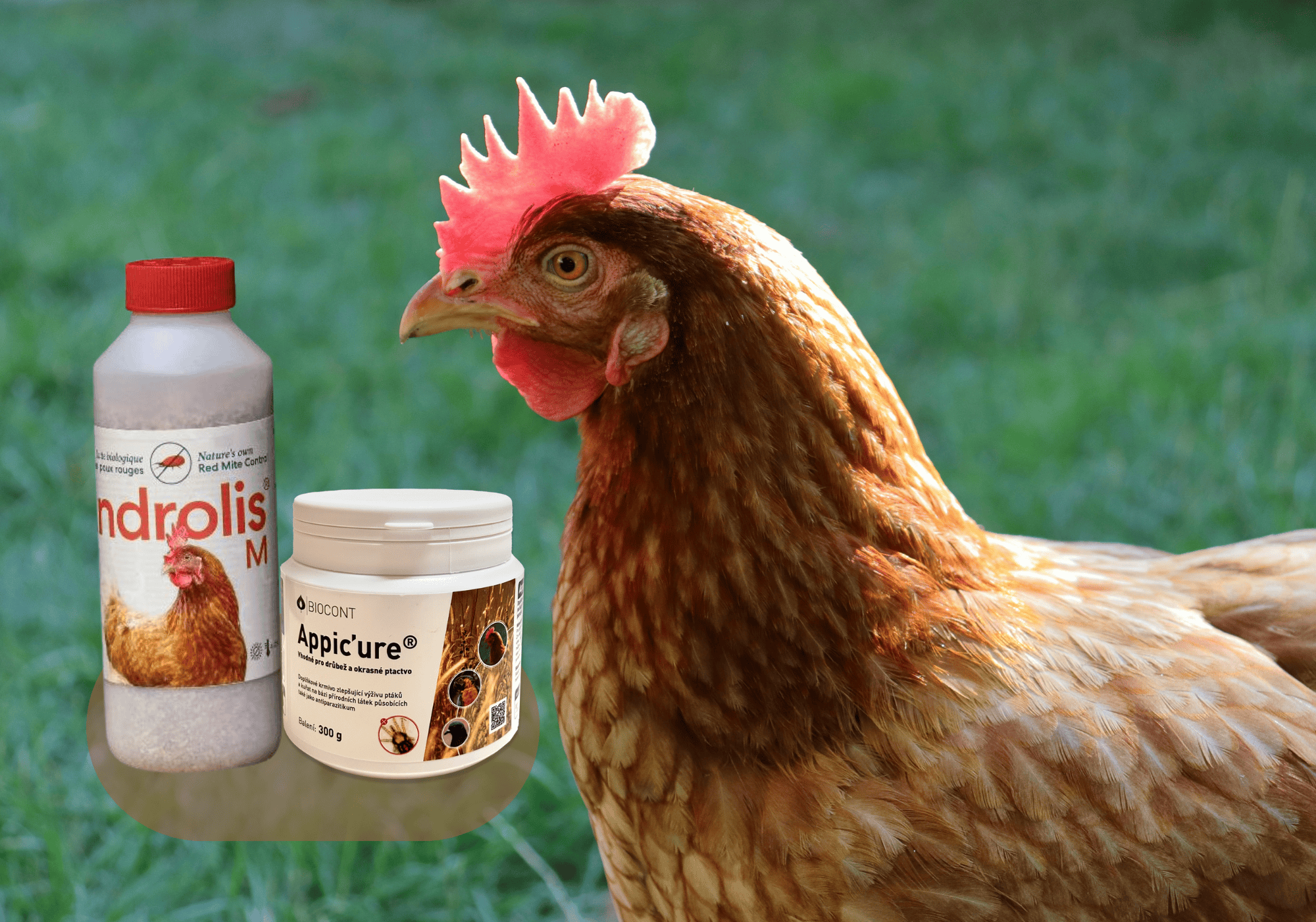 Trápí vás čmelíci u drůbeže? Už nemusí