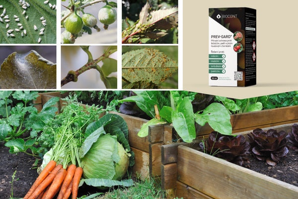 PREV-GARD univerzální hrdina v biologické ochraně rostlin