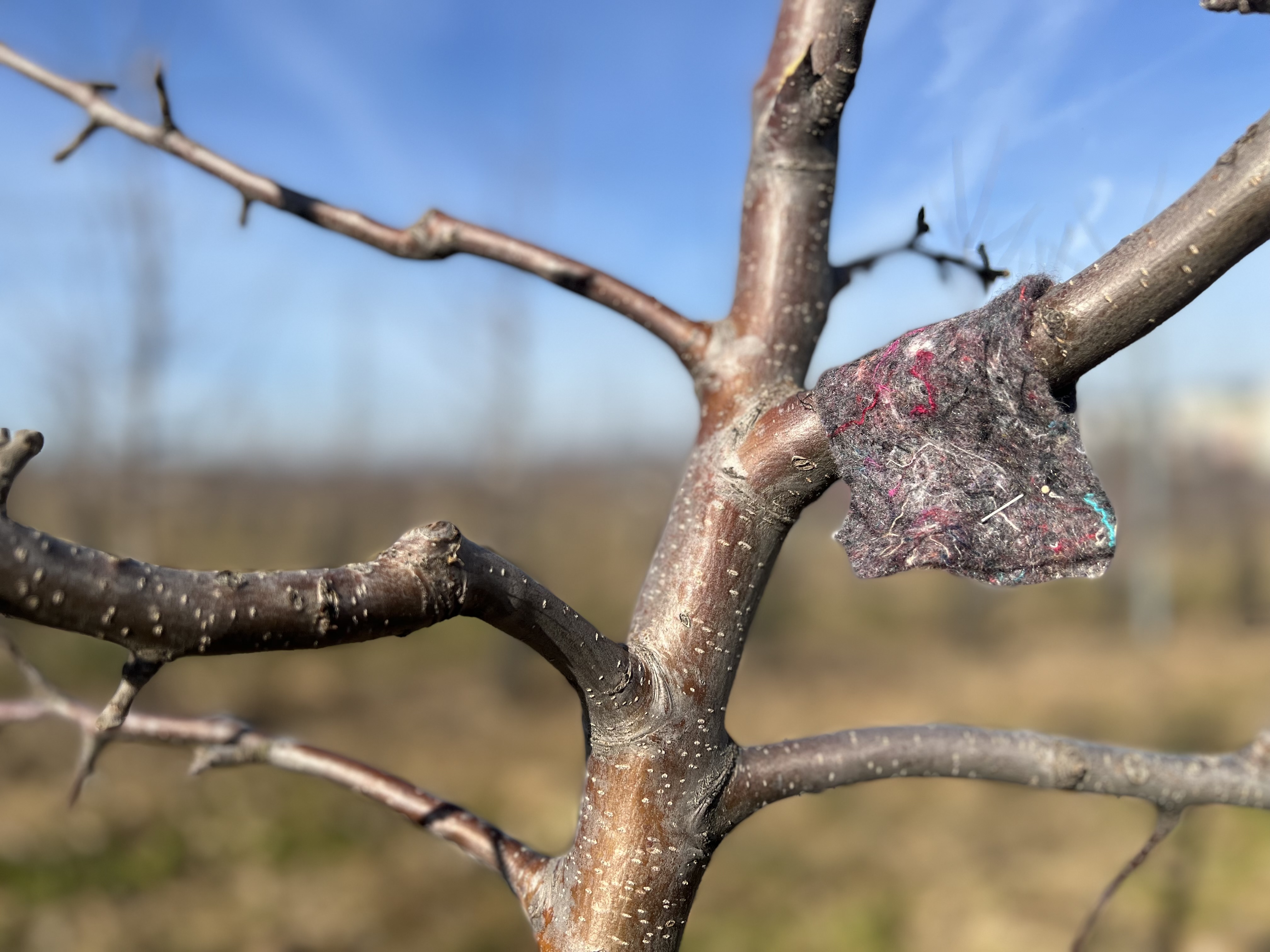 Dlouhodobá ochrana Vaší zahrady, sadů a vinic bez použití chemických přípravků
