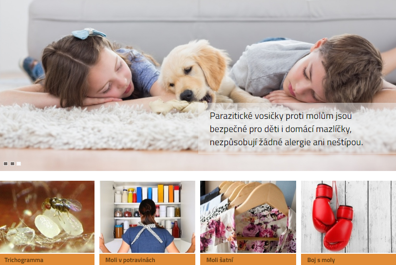 ZBAVTE SE MOLŮ PŘÍRODNĚ A EFEKTIVNĚ