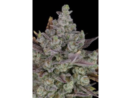 7ab3c9ee372960491da94b9b669ce0cd