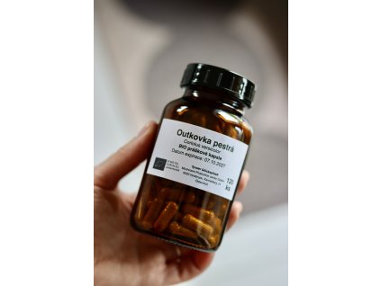 Outkovka pestrá - coriolus versicolor 120 kapslí