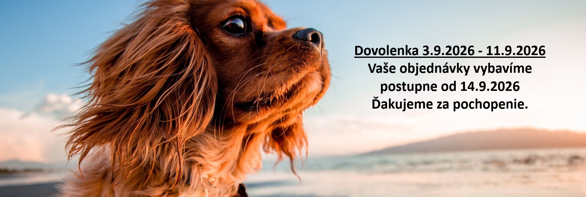 Dovolenka 2026