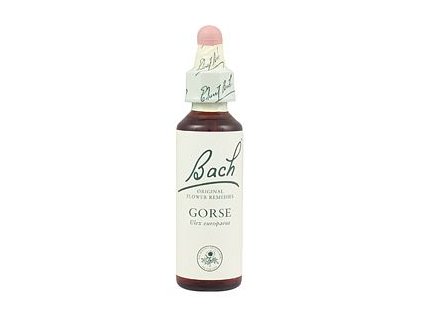 GORSE - Útesovec európsky (Objem 20 ml)