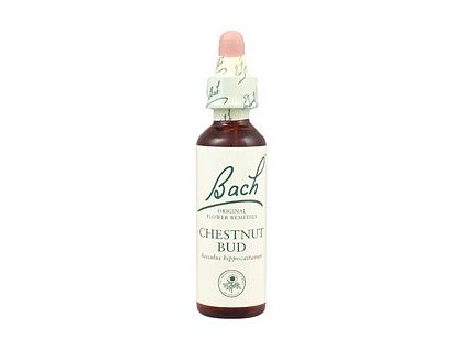 CHESTNUT BUD - Pagaštan konský (Objem 20 ml)