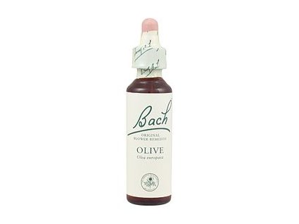 OLIVE - Oliva európska (Objem 20 ml)