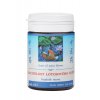 UŠĽACHTILOSŤ LOTOSOVÉHO KVETU - DAN SHEN YIN WAN - TCM Herbs (Objem 100 tabliet / 30 g)