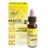 rescue pets