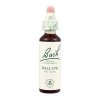 WILLOW - Vŕba biela (Objem 20 ml)