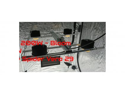 LED Spider Vero 29 310W