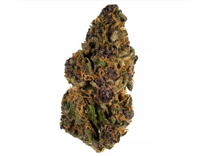 Auto Forbidden Fruit - Tatra seeds