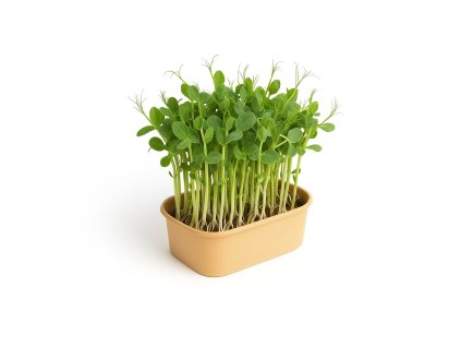 ChatGPT Image Nov 6, 2025 at 09 30 08 AM