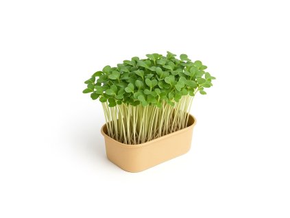 ChatGPT Image Nov 6, 2025 at 09 34 12 AM