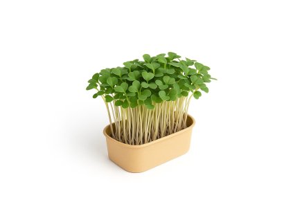 ChatGPT Image Nov 6, 2025 at 09 39 56 AM