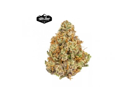 2772 blueberry 800x800