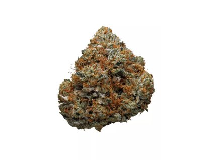 godfather og tatra seeds