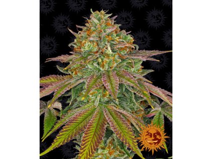 Wedding Cake - Barney´s Farm
