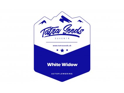 Auto White Widow - Tatra Seeds