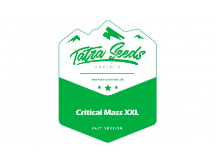 Critical Mass XXL Fast Version - Tatra Seeds -