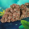 Auto Red Tropicana Cookies Cannabis Seeds Dutch Passion (3)