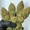Morpheus buddhaseeds 5 2