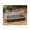 59a g19 large high dome propagator planted 10