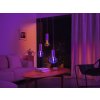 Philips Hue Lightguide 12