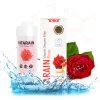 SW 07 rose - ruža