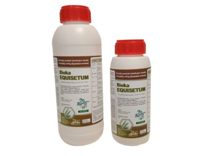 equisetum fotor 20250131122713