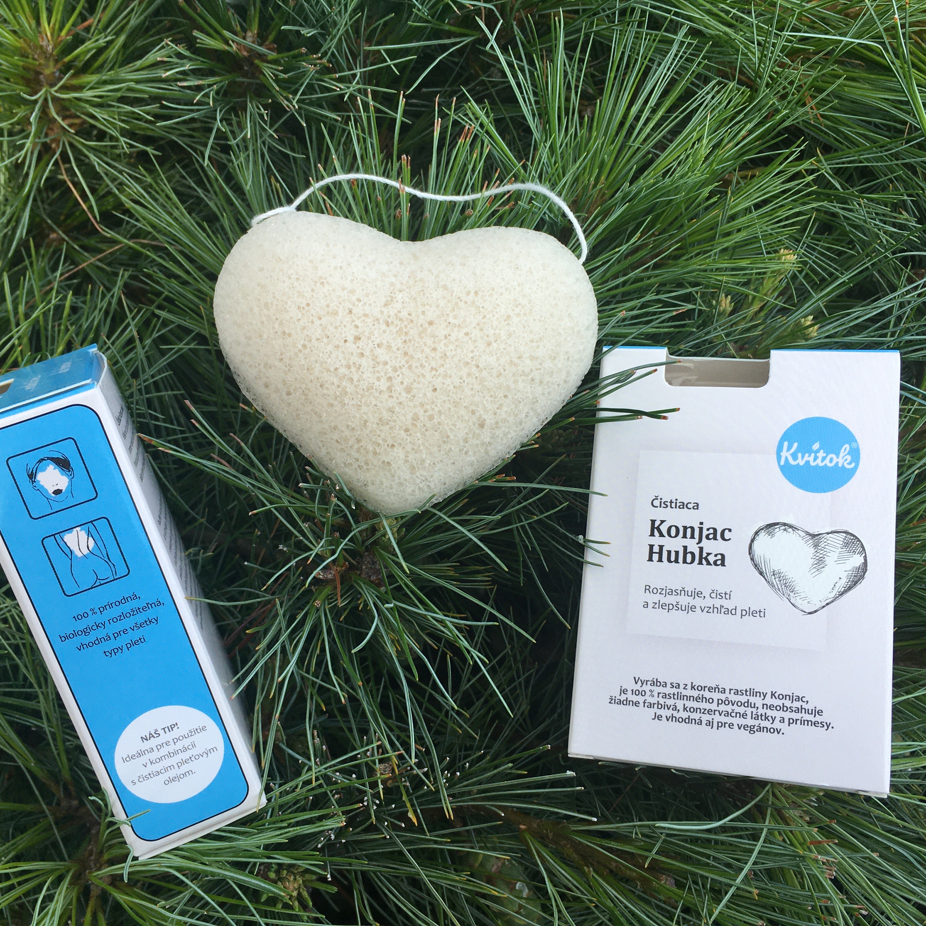 Tvrdá jako skála s měkkým srdcem – Konjaková houbička