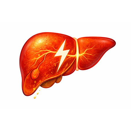 Jak na posílení jater