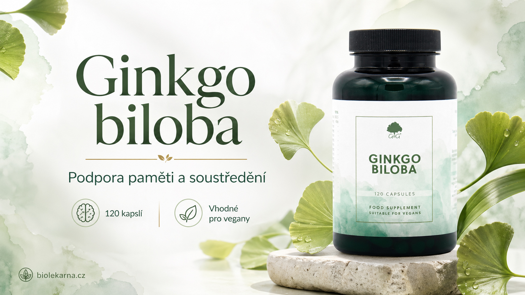 ginko