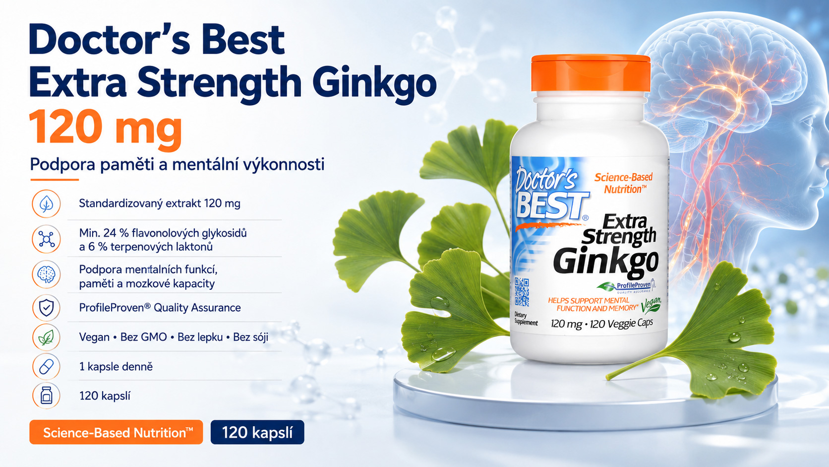 ginko_1