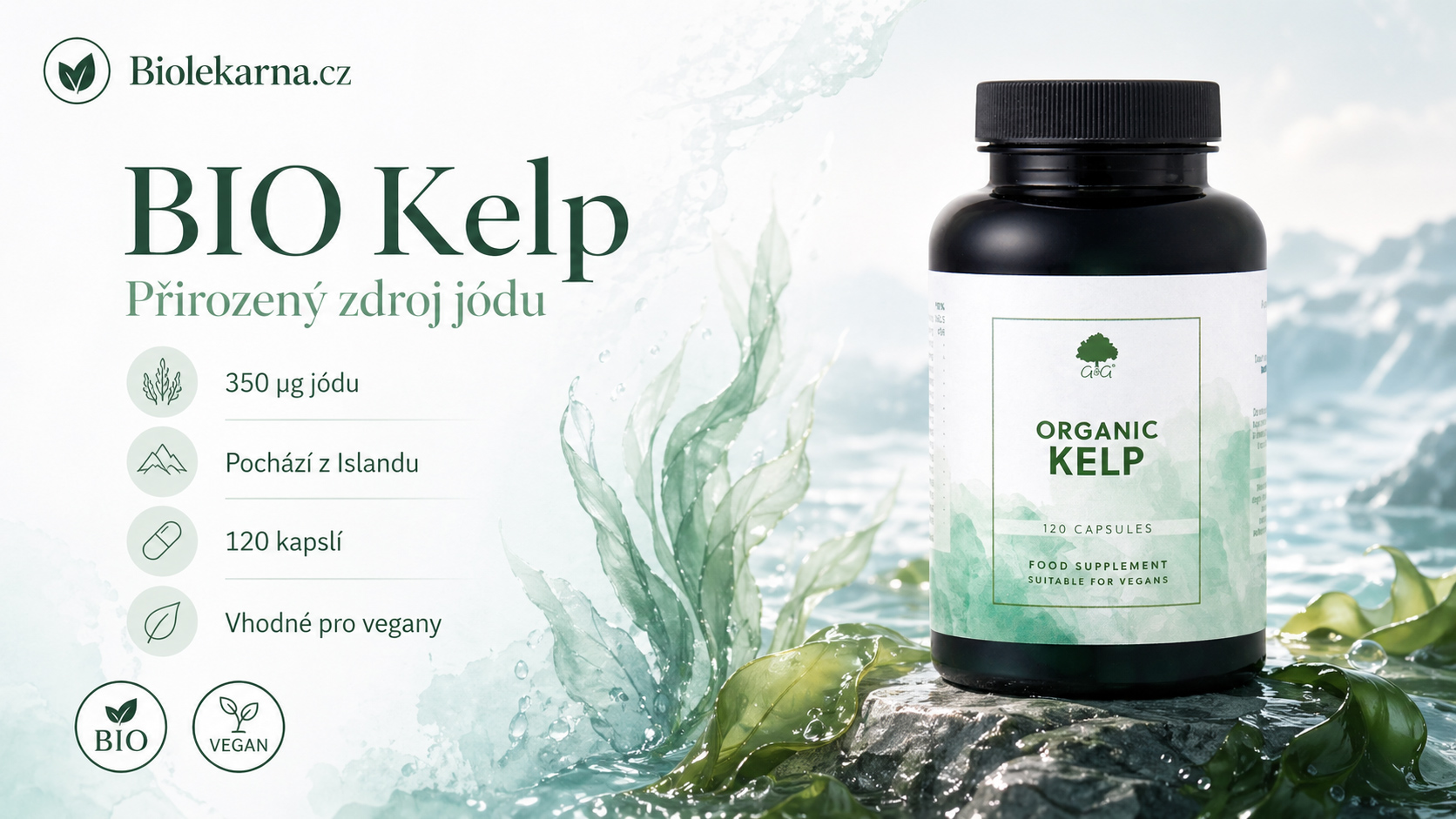 kelp