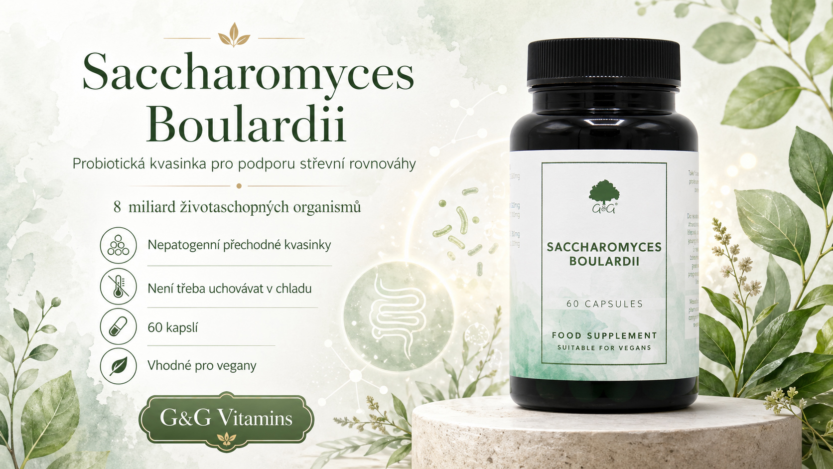 sacchara