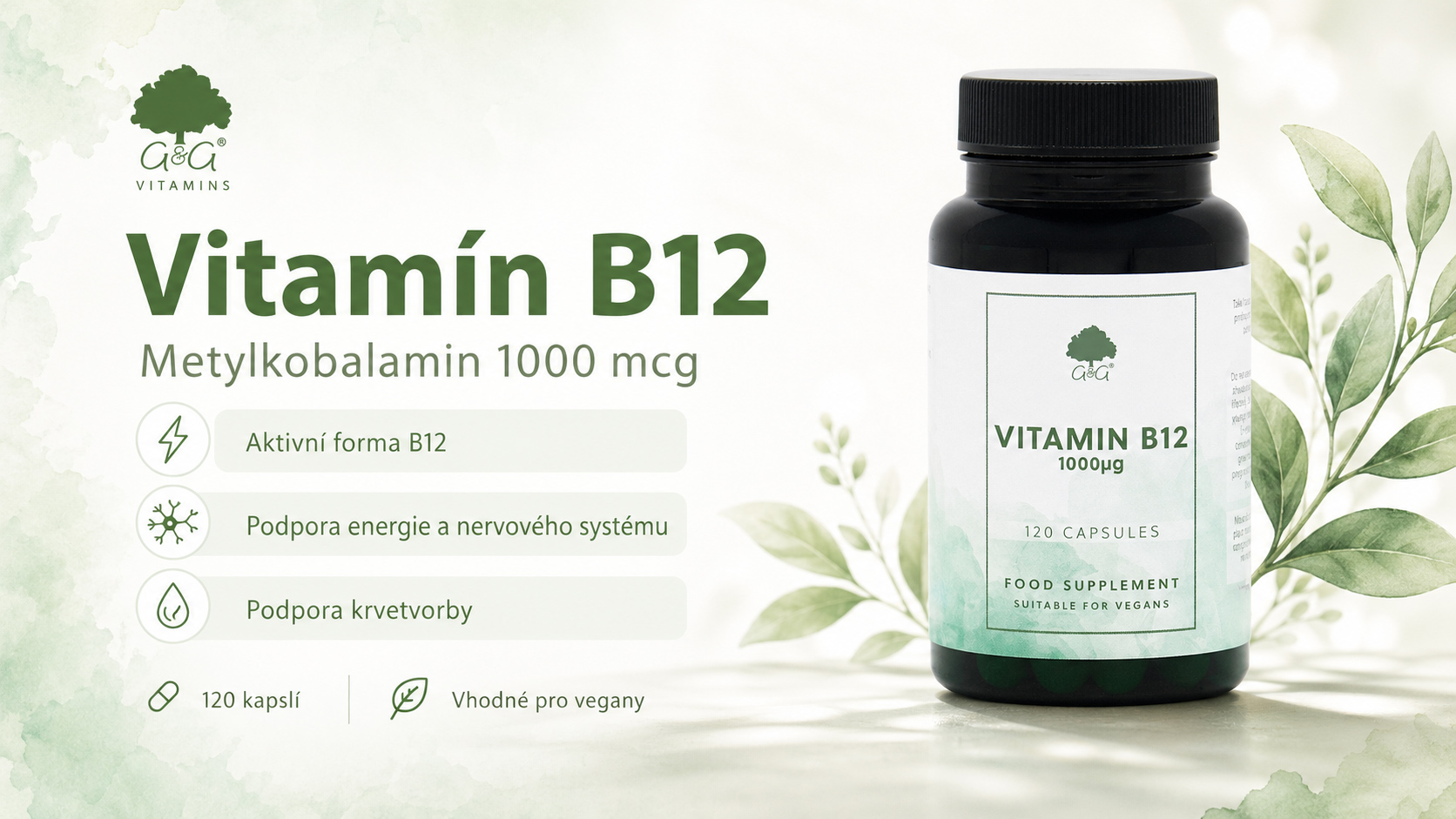vit-b12-meth