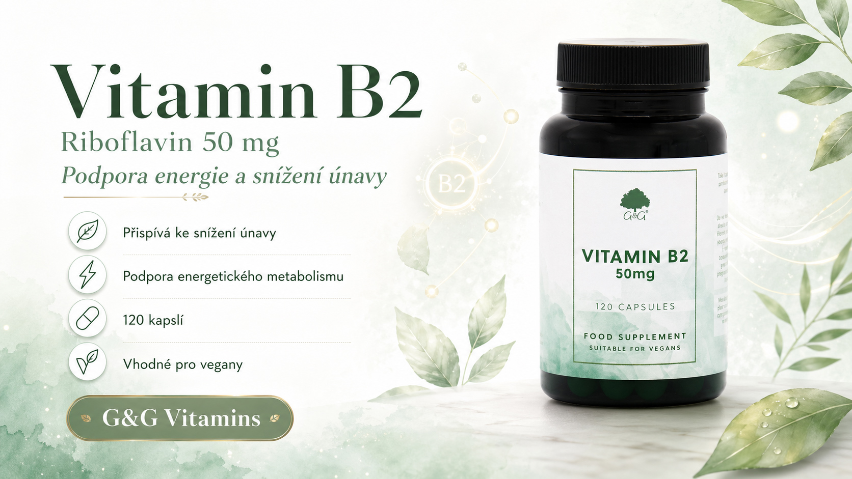 vit-b2-ribo